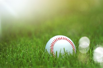 A white used baseball on the fresh green grass with copy space