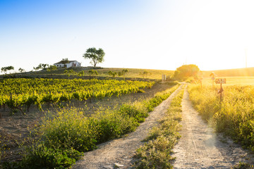 A path in the countryside during sunset