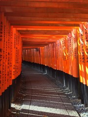 Obraz premium The Torii gates of Fushimi Shrine, Kyoto