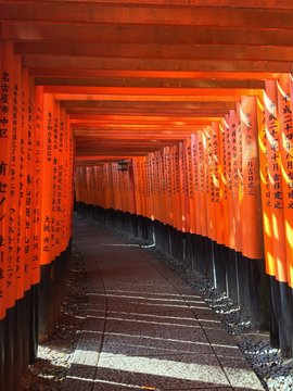 The Torii gates of Fushimi Shrine, Kyoto
