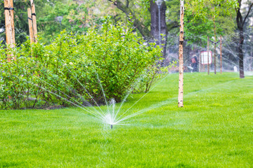 Fototapeta na wymiar Sprinkler watering the grass in the park