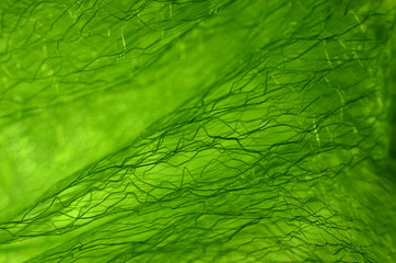 Tüll - Fasern, grün