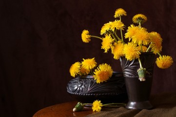 Background with wildflowers - dandelion flowers