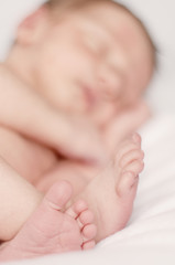 Newborn Baby's Toes - Closeup Detail Photo
