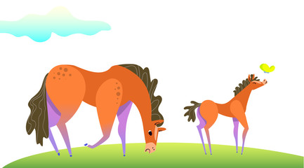 Cartoon style funny horse character on green grass. Vector illustration.
