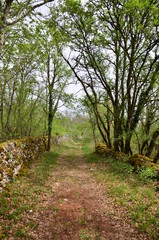 SENTIER DE RANDONNÉE ET MURET DE PIERRES SÈCHES CAUSSES DU QUERCY LOT FRANCE  