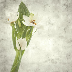  old paper background