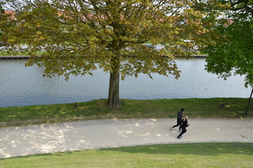 Утренняя пробежка