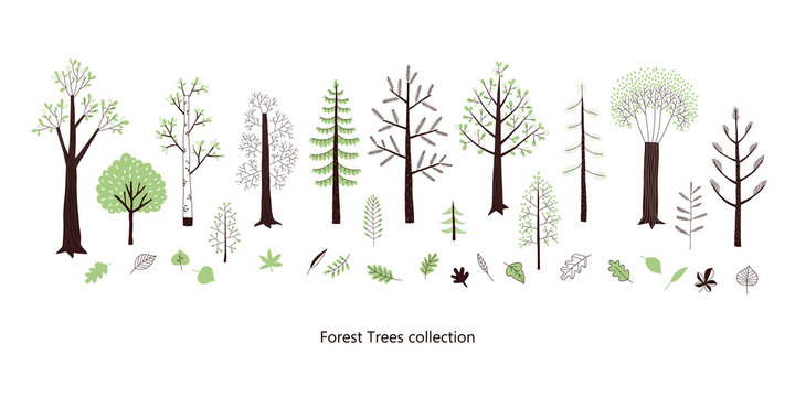 Forest trees and leaves vector clip-art set. Woodland flora in Scandinavian decorative style. Woody park plant isolated on white collection.