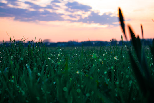 A very amazing an colorful sunrise in Germany. A beautiful sky.