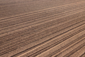 Campo agricolo e terreno, Agricultural field and land