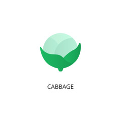 Cabbage vegetable flat vector icon