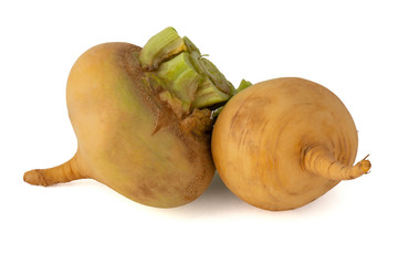 Turnip yellow root with a long tail on a white background
