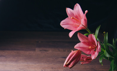 bouquet of pink lily flowers in the rays of light on a black background on a wooden rustic table. fresh buds of a flowering plant close-up, copy space. studio shot. the plot of the holiday card - obrazy, fototapety, plakaty