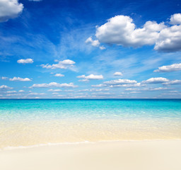 beach and tropical sea . nature background