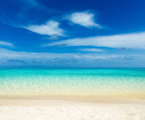 beach and tropical sea . nature background