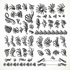 Fototapeta premium Large set of calligraphically executed black design elements on a white background