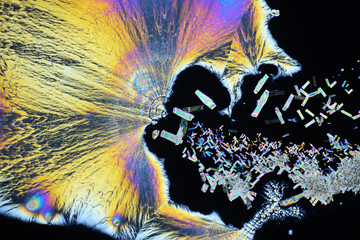 Colorful micro crystals in polarized light. Photo through a microscope.