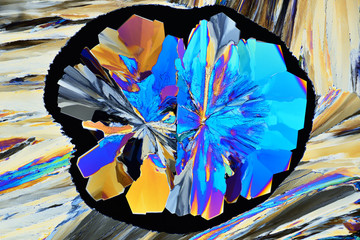 Colorful micro crystals in polarized light. Photo through a microscope.