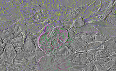 graffiti on the wall