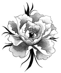  peony with eye inside