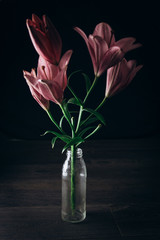 bouquet of pink lily flowers in the rays of light on a black background on a wooden rustic table in a glass bottle. fresh buds of a flowering plant close-up in a vase, copy space. studio shot