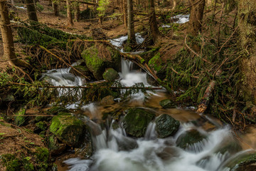 Big spring water on nice creek in spring day in Krusne mountains