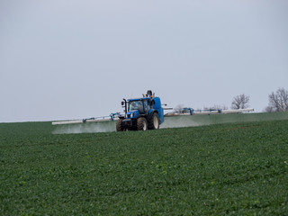 Fototapeta premium A blue tractor sprays pesticides on a green field. Blue tractor on field. 