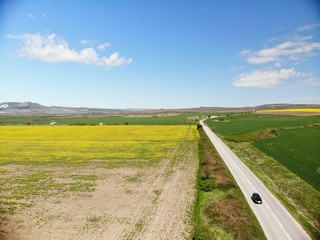 Drone View of Yellow Rape Seed Fields