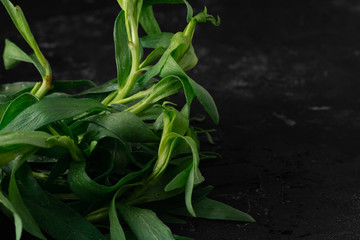Bundle of fresh tarragon (estragon) isolated on dark stone background. Selective focus, Close up,...