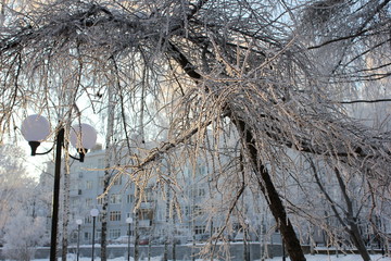 Winter is gone, but sometimes you want to plunge into her magic again, at least looking at these...