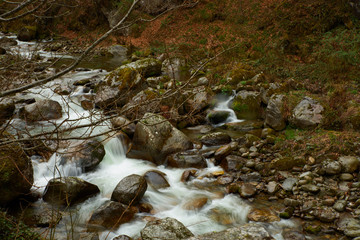 Au bord de la rivi&egrave;re