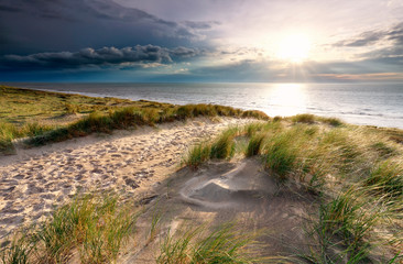 sand path on dune to North sea beach - obrazy, fototapety, plakaty