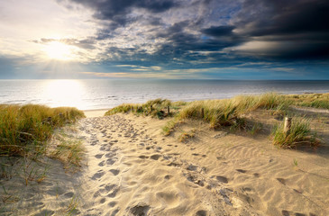 chemin de sable vers la plage de la mer du nord au soleil