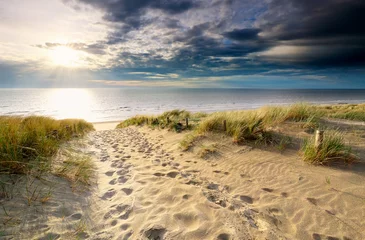 Papier Peint photo Mer du Nord, Pays-Bas chemin de sable vers la plage de la mer du nord au soleil