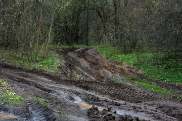 Offroad dirt puddle forest nature