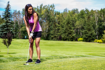 A female golfer lines up her putt her ball on the green on a warm summer day at a golf course; Edmonton, Alberta, Canada