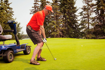 A physically disabled golfer using a specialized wheelchair hits the golf ball with his putter and the ball rolls towards the hole; Edmonton, Alberta, Canada