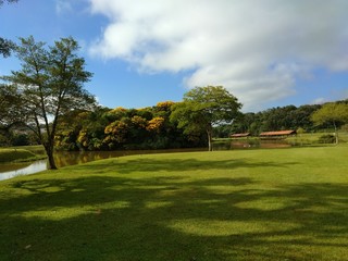 Natureza01
