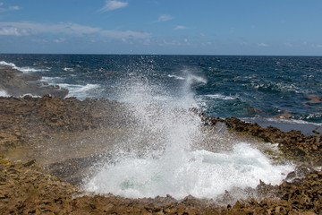 Sea water erupting from the blow hole