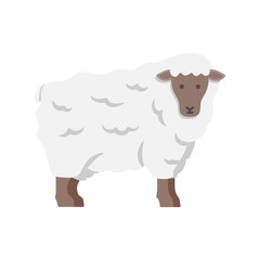 Lamb, sheep icon. Vector illustration