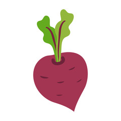 Icon of ripe beetroot with big green leaves.