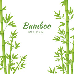 Green bamboo stems with green leaves on a white background. Vector illustration.