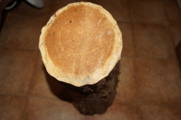 piece of sawn wood