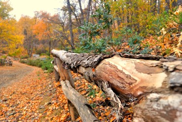 Parque Altos de Lircay
