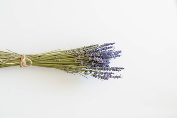 Dry color grass flower for interior decoration. Studio shot and isolated on white background. Bunch of Lavender flowers on a white background