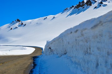 Paso Pehuenche