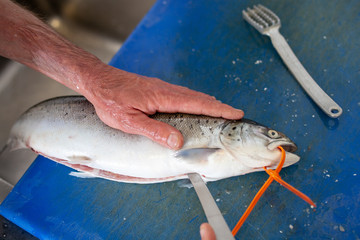 A chef gutting a freshly caught salmon