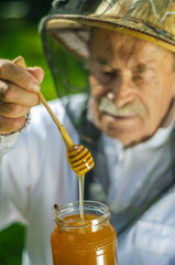 senior apiarist checking his honey in apiary