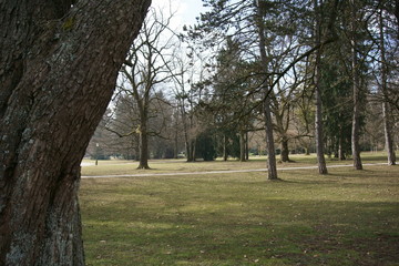 View of City Park Tivoli